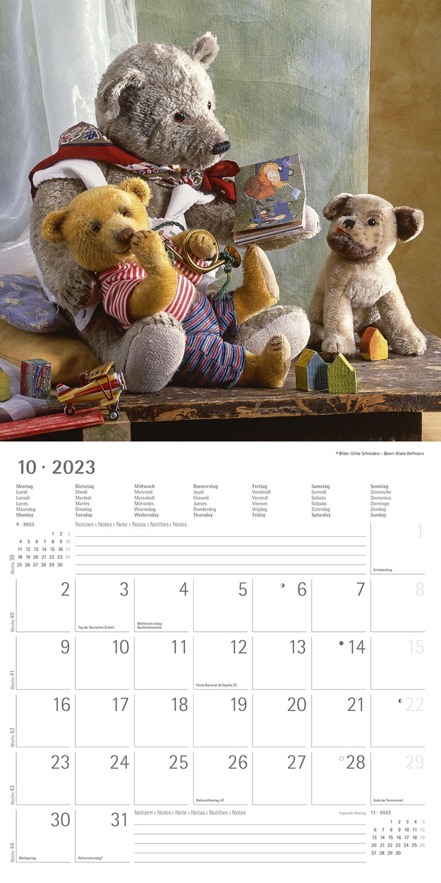  Teddy 2022 - Broschürenkalender 30x30 cm (30x60