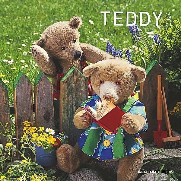 Teddy 2024 - Broschürenkalender 30x30 cm (30x60 geöffnet) - Kalender mit Platz für Notizen - Bildkalender - Wandkalender - mit herausnehmbarem Poster