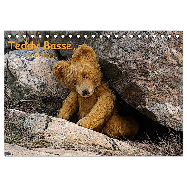 Teddy Basse, Fortsetzung... (Tischkalender 2025 DIN A5 quer), CALVENDO Monatskalender, Calvendo, Dirk rosin