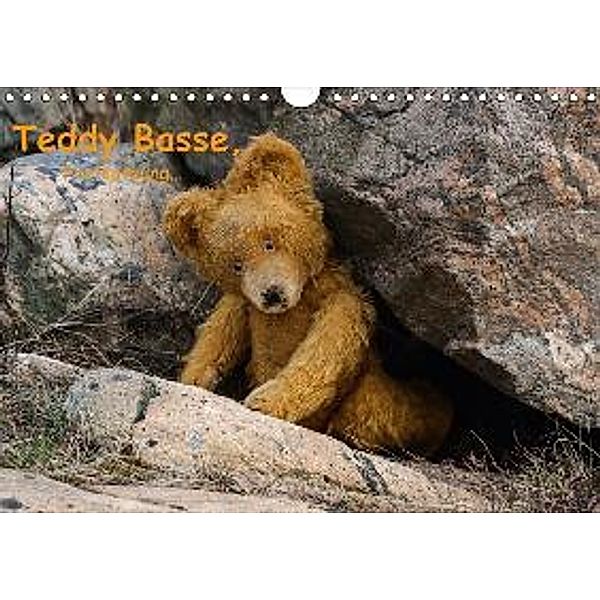 Teddy Basse, Fortsetzung... (Wandkalender 2017 DIN A4 quer), Dirk Rosin