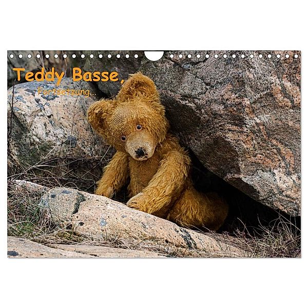 Teddy Basse, Fortsetzung... (Wandkalender 2024 DIN A4 quer), CALVENDO Monatskalender, Dirk rosin