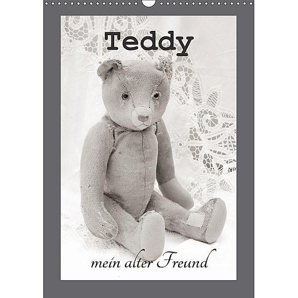 Teddy, mein alter Freund (Wandkalender 2017 DIN A3 hoch), Nina Schwarze