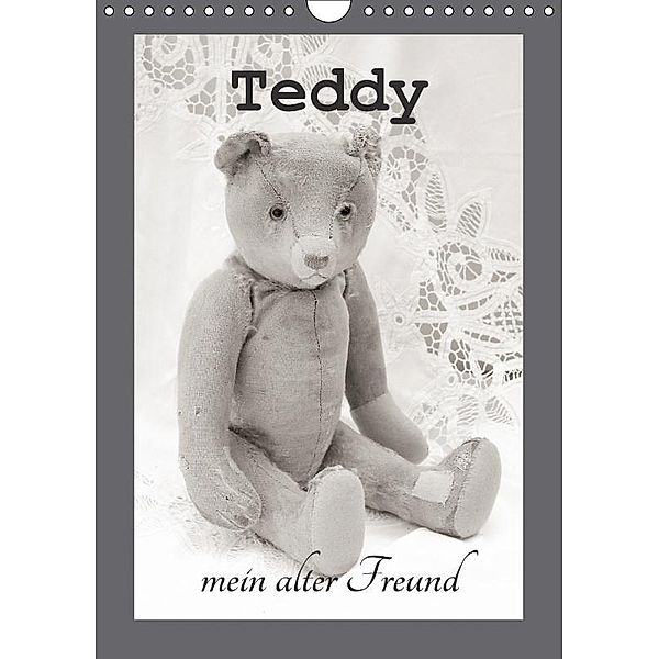 Teddy, mein alter Freund (Wandkalender 2017 DIN A4 hoch), Nina Schwarze