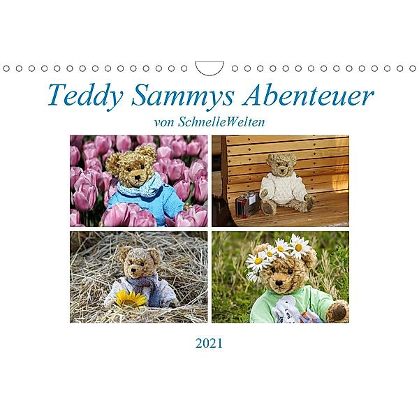 Teddy Sammys Abenteuer (Wandkalender 2021 DIN A4 quer), Schnellewelten