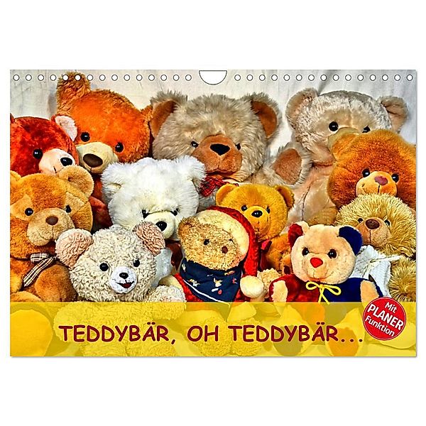 TEDDYBÄR, OH TEDDYBÄR... (Wandkalender 2024 DIN A4 quer), CALVENDO Monatskalender, Jennifer Chrystal