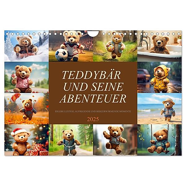 Teddybär und seine Abenteuer (Wandkalender 2025 DIN A4 quer), CALVENDO Monatskalender, Calvendo, Dirk Meutzner