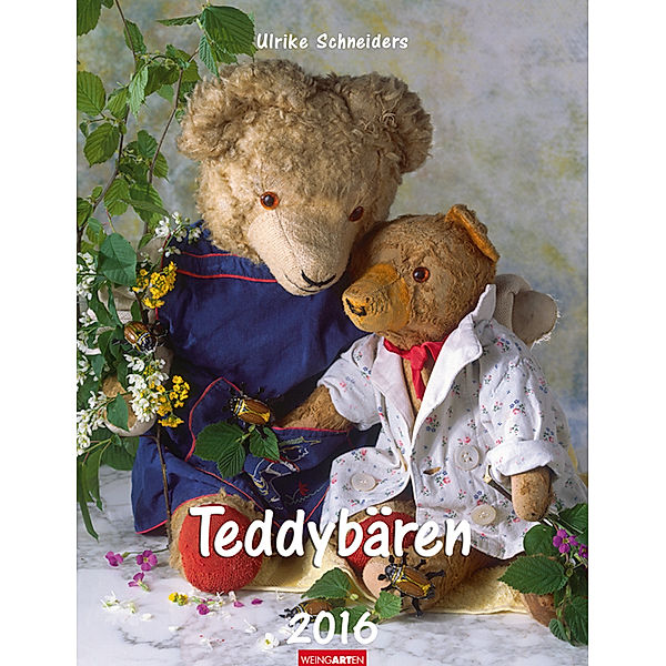 Teddybären 2016, Ulrike Schneiders