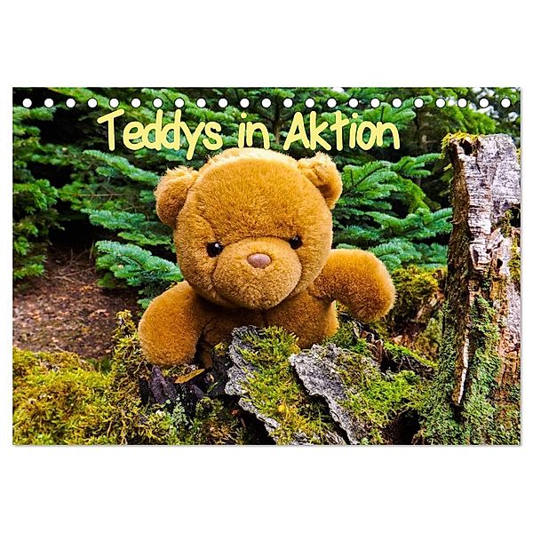 Teddys in Aktion (Tischkalender 2024 DIN A5 quer), CALVENDO Monatskalender, Karin Sigwarth