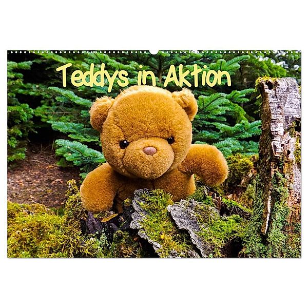 Teddys in Aktion (Wandkalender 2024 DIN A2 quer), CALVENDO Monatskalender, Karin Sigwarth