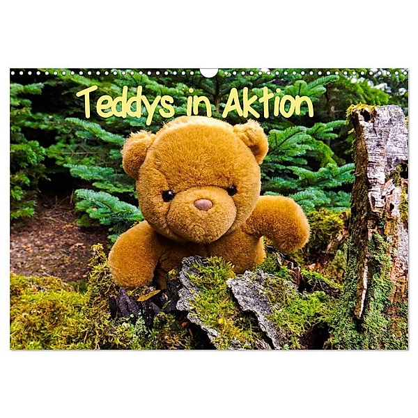 Teddys in Aktion (Wandkalender 2024 DIN A3 quer), CALVENDO Monatskalender, Karin Sigwarth