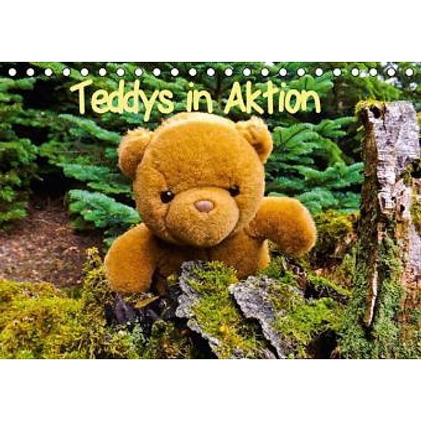 Teddys in AktionCH-Version (Tischkalender 2015 DIN A5 quer), Karin Sigwarth