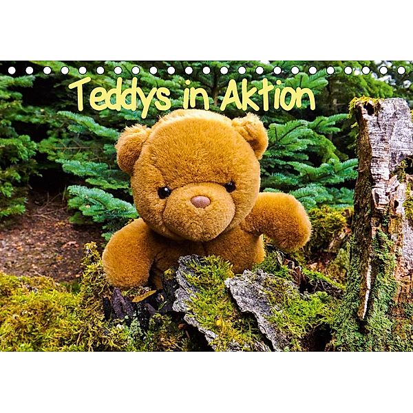 Teddys in AktionCH-Version (Tischkalender 2020 DIN A5 quer), Karin Sigwarth