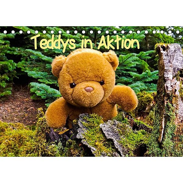 Teddys in AktionCH-Version (Tischkalender 2023 DIN A5 quer), Karin Sigwarth