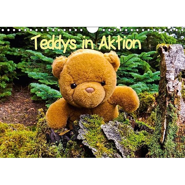 Teddys in AktionCH-Version (Wandkalender 2017 DIN A4 quer), Karin Sigwarth