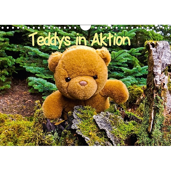 Teddys in AktionCH-Version (Wandkalender 2018 DIN A4 quer), Karin Sigwarth