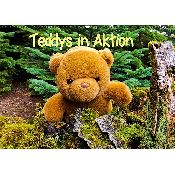 Teddys in AktionCH-Version (Wandkalender 2019 DIN A2 quer), Karin Sigwarth