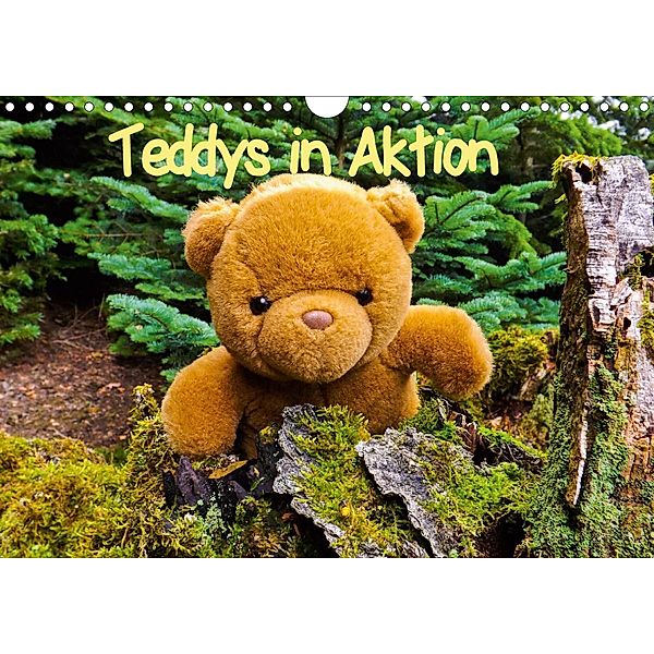 Teddys in AktionCH-Version (Wandkalender 2021 DIN A4 quer), Karin Sigwarth