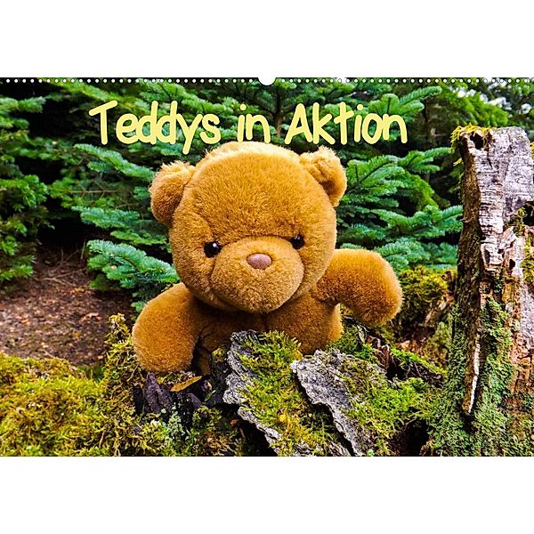 Teddys in AktionCH-Version (Wandkalender 2023 DIN A2 quer), Karin Sigwarth