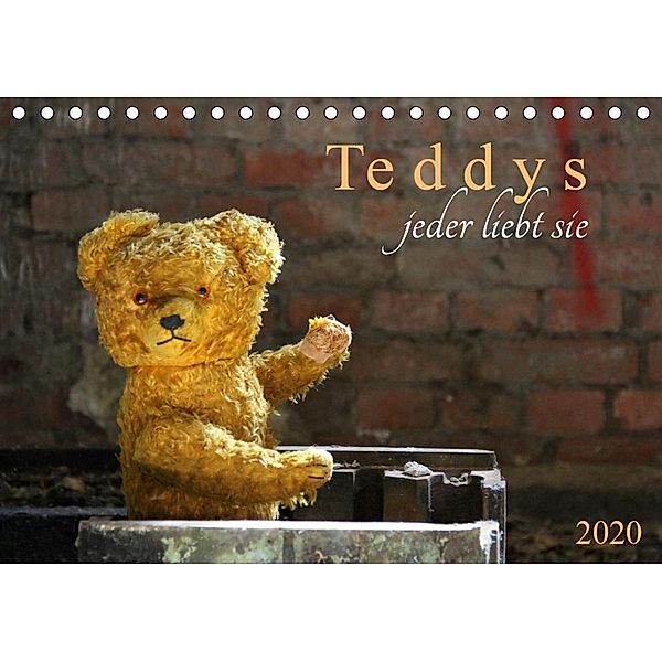Teddys...jeder liebt sie (Tischkalender 2020 DIN A5 quer)