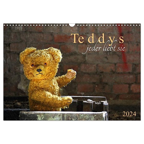 Teddys...jeder liebt sie (Wandkalender 2024 DIN A3 quer), CALVENDO Monatskalender, Schnellewelten