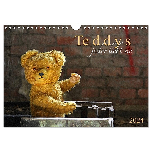 Teddys...jeder liebt sie (Wandkalender 2024 DIN A4 quer), CALVENDO Monatskalender, Schnellewelten