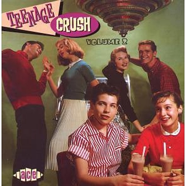 Teenage Crush Vol.2, Diverse Interpreten
