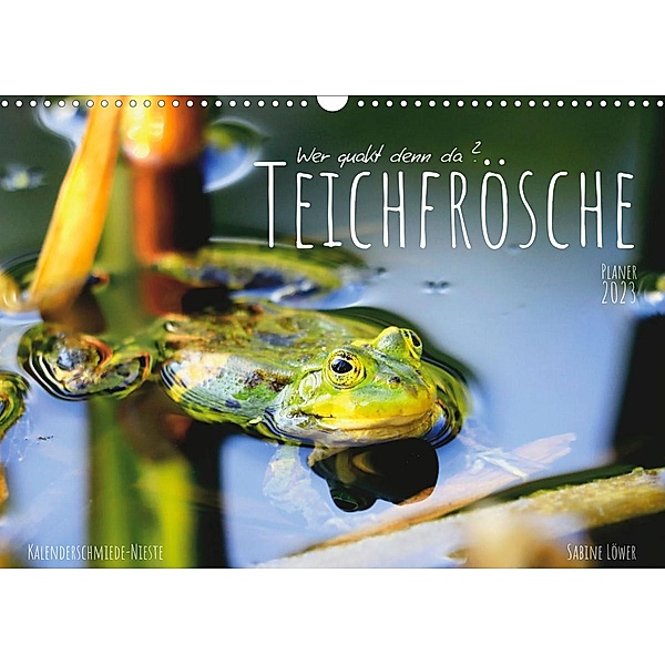 Teichfrösche (Wandkalender 2023 DIN A3 quer), Sabine Löwer