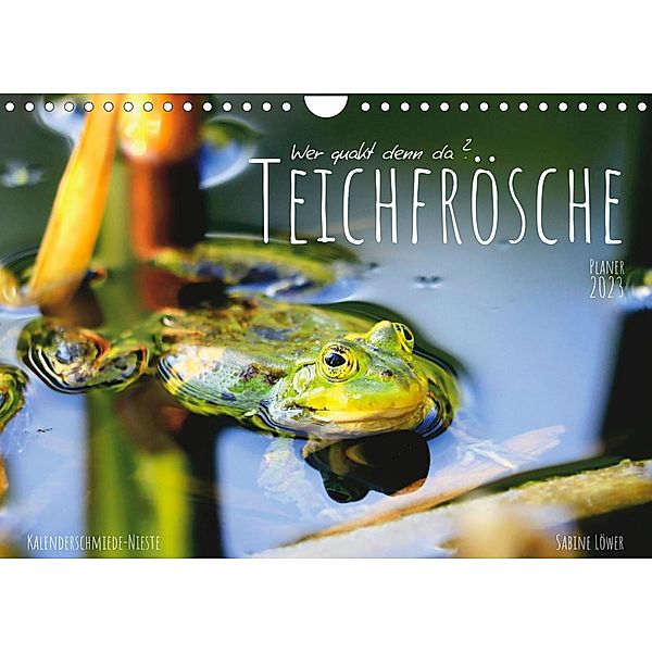 Teichfrösche (Wandkalender 2023 DIN A4 quer), Sabine Löwer