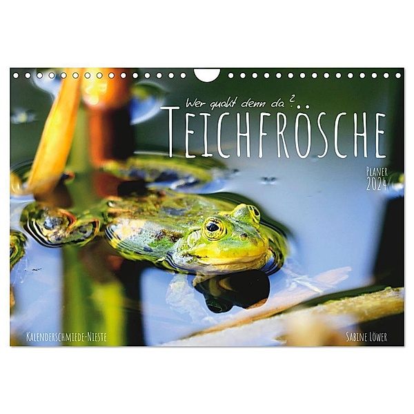 Teichfrösche (Wandkalender 2024 DIN A4 quer), CALVENDO Monatskalender, Sabine Löwer