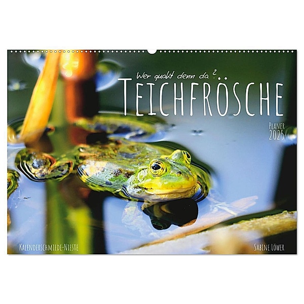 Teichfrösche (Wandkalender 2025 DIN A2 quer), CALVENDO Monatskalender, Calvendo, Sabine Löwer