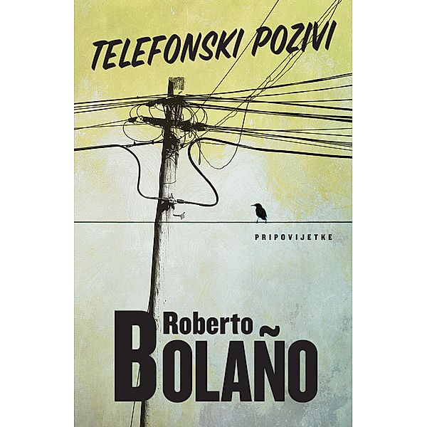 Telefonski pozivi, Roberto Bolaño