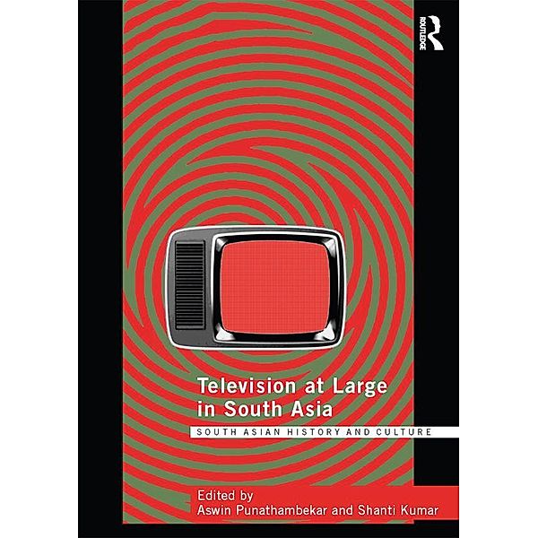 Television at Large in South Asia