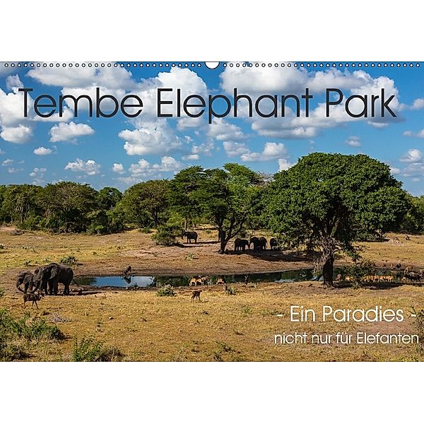 Tembe Elephant Park. Ein Paradies - nicht nur für Elefanten (Wandkalender 2018 DIN A2 quer), R. Siemer