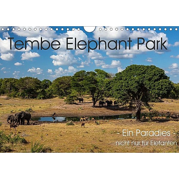 Tembe Elephant Park. Ein Paradies - nicht nur für Elefanten (Wandkalender 2021 DIN A4 quer), rsiemer