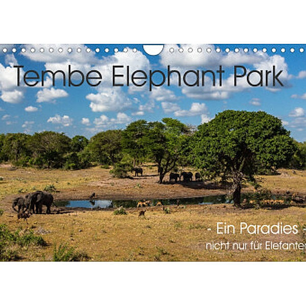 Tembe Elephant Park. Ein Paradies - nicht nur für Elefanten (Wandkalender 2022 DIN A4 quer), rsiemer