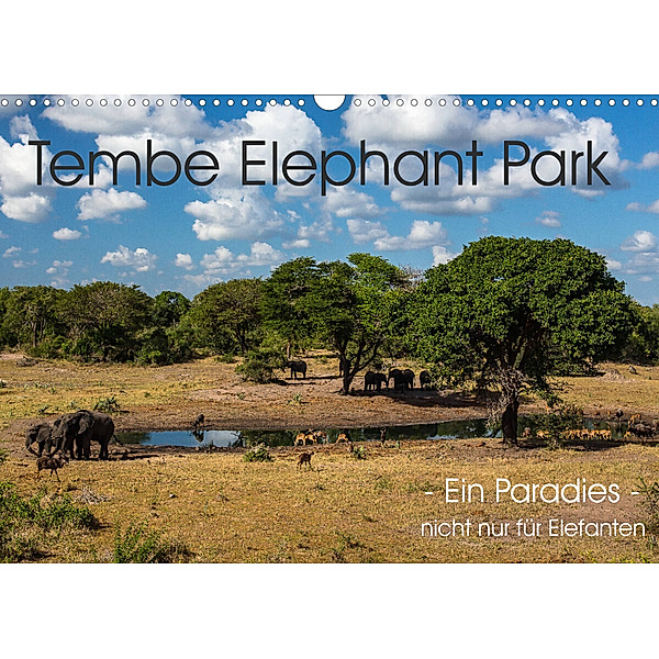Tembe Elephant Park. Ein Paradies - nicht nur für Elefanten (Wandkalender 2023 DIN A3 quer), rsiemer