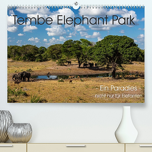 Tembe Elephant Park. Ein Paradies - nicht nur für Elefanten (Premium, hochwertiger DIN A2 Wandkalender 2023, Kunstdruck in Hochglanz), rsiemer