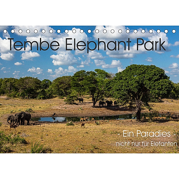 Tembe Elephant Park. Ein Paradies - nicht nur für Elefanten (Tischkalender 2023 DIN A5 quer), rsiemer