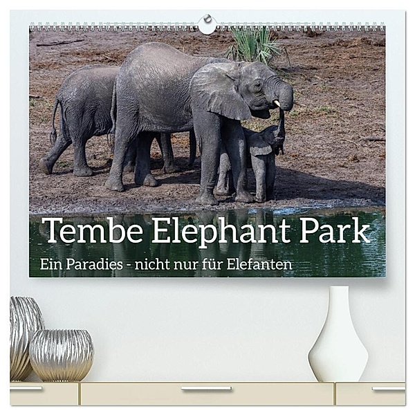 Tembe Elephant Park. Ein Paradies - nicht nur für Elefanten (hochwertiger Premium Wandkalender 2024 DIN A2 quer), Kunstdruck in Hochglanz, rsiemer
