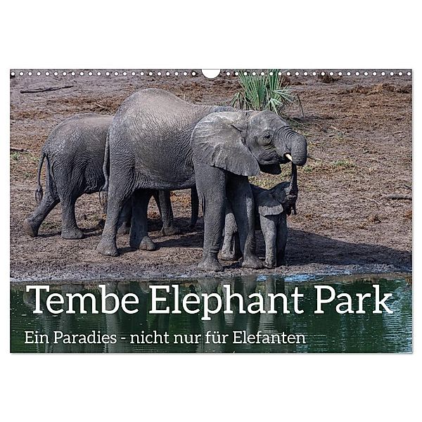 Tembe Elephant Park. Ein Paradies - nicht nur für Elefanten (Wandkalender 2025 DIN A3 quer), CALVENDO Monatskalender, Calvendo, rsiemer
