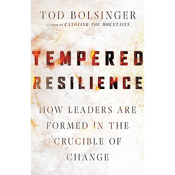 Tempered Resilience, Tod Bolsinger