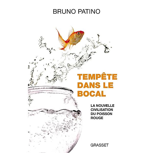 Tempête dans le bocal / essai français, Bruno Patino