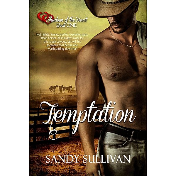 Temptation (Shadows of the Heart, #1) / Shadows of the Heart, Sandy Sullivan