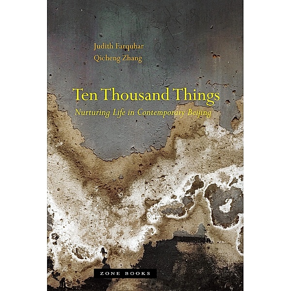 Ten Thousand Things, Judith Farquhar, Qicheng Zhang
