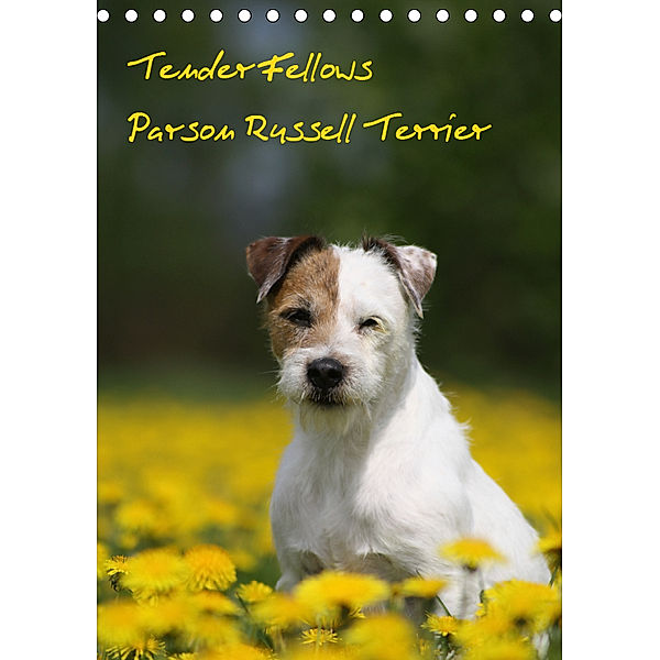 Tender Fellows - Parson Russell Terrier (Tischkalender 2019 DIN A5 hoch), Maike Clüver