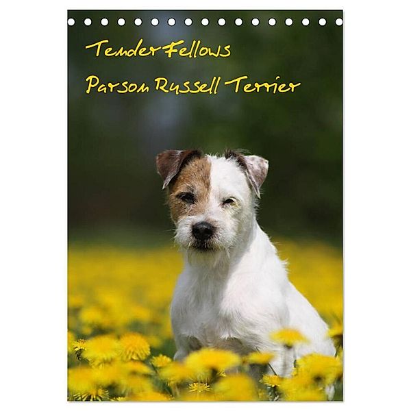 Tender Fellows - Parson Russell Terrier (Tischkalender 2024 DIN A5 hoch), CALVENDO Monatskalender, Maike Clüver