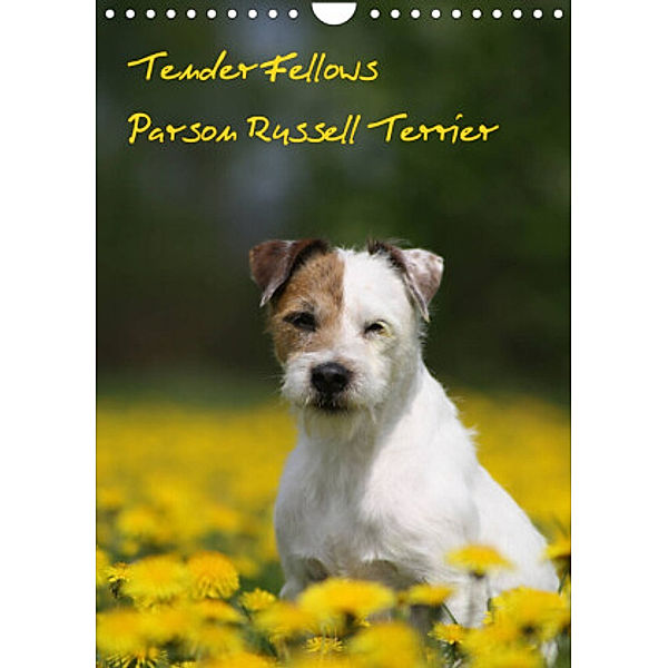 Tender Fellows - Parson Russell Terrier (Wandkalender 2022 DIN A4 hoch), Maike Clüver