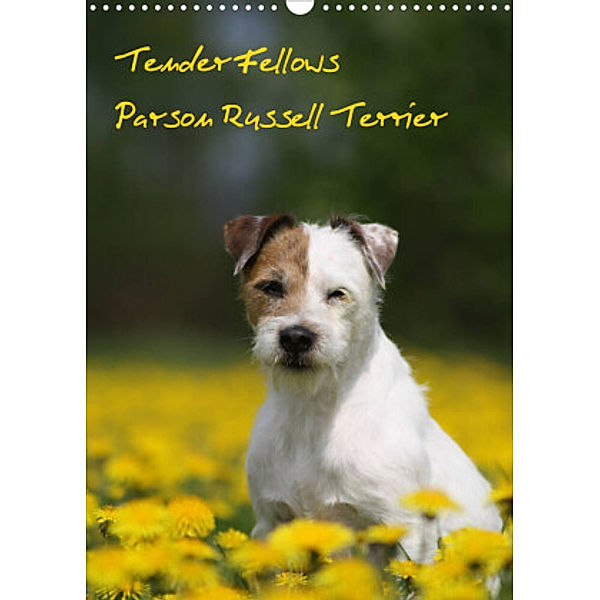 Tender Fellows - Parson Russell Terrier (Wandkalender 2022 DIN A3 hoch), Maike Clüver