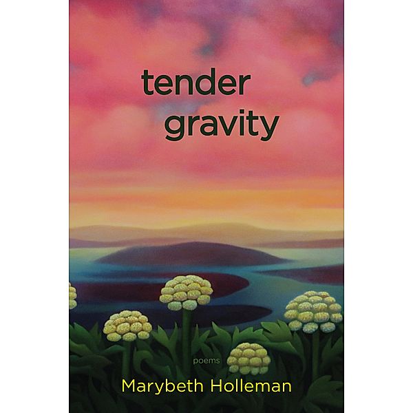 tender gravity, Marybeth Holleman