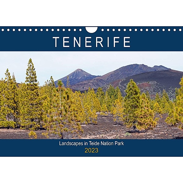 Tenerife - Landscapes of Teide National Park (Wall Calendar 2023 DIN A4 Landscape), Anja Frost